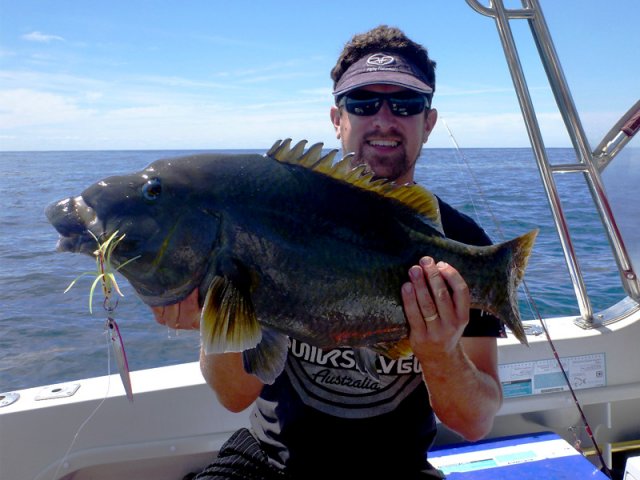 Groper on jig Groper on jig